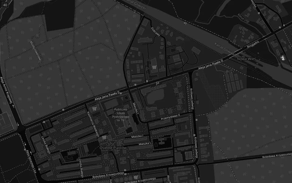 Mapa: Infiniti Fitness, al. Jana Pawła II 58, Kędzierzyn-Koźle